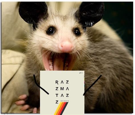 Awesome Possum Memes - Imgflip