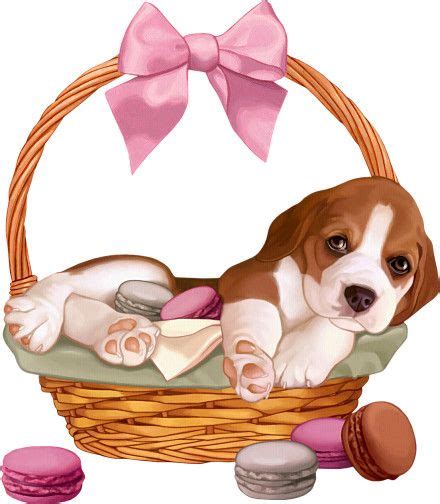(99) Одноклассники | Puppies and kitties, Cute little animals, Puppy ...