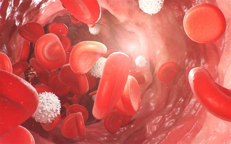 A Deep Dive into Erythropoietin (EPO): Beyond Red Blood Cells and Into ...