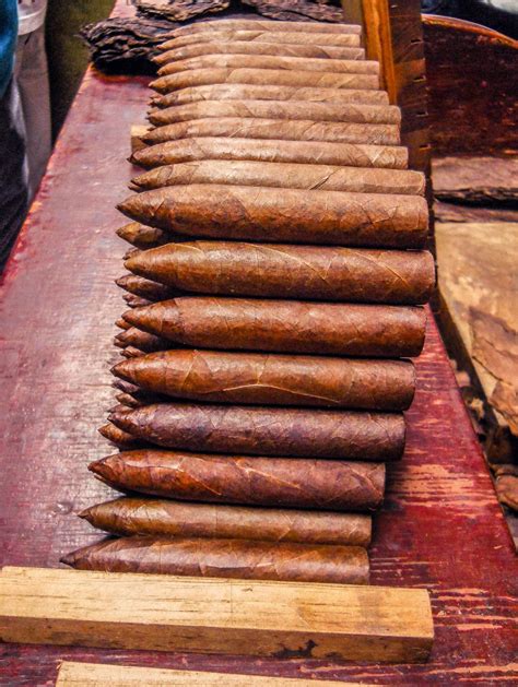 How to spend a day in miami – Artofit