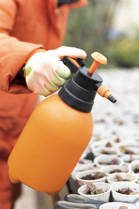 Top 7 Trends in the Pest Control Market - Verified Market Reports [2025]