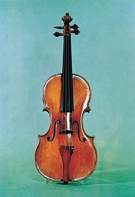 Amati – Store norske leksikon