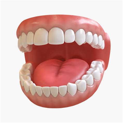 3D модель Зубы - TurboSquid 1115066