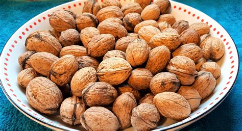 english walnut tree 8