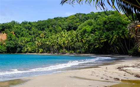 10 Best Dominica Beaches — Traverse Journeys - Travel That Transforms