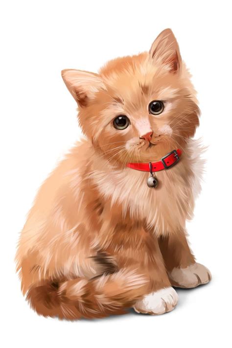 Lovely cats. Милые котики. PNG. | Милые котики, Самые милые животные, Кошки