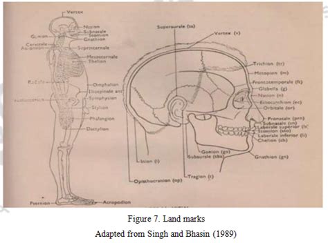 Techniques of Somatometry & Somatoscopy – Research Methods and Field work