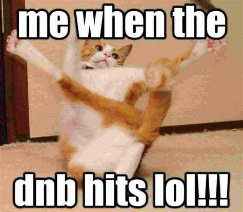 a few awful lolcat memes that i made : r/breakcore