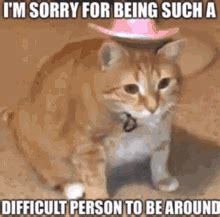 im  meme gifs tenor