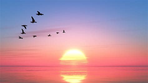 Sun,Rise | Janey Holliday