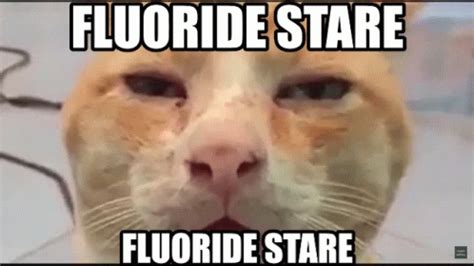 Fluoride Stare Fluoride GIF - Fluoride Stare Fluoride Stare - Discover & Share GIFs