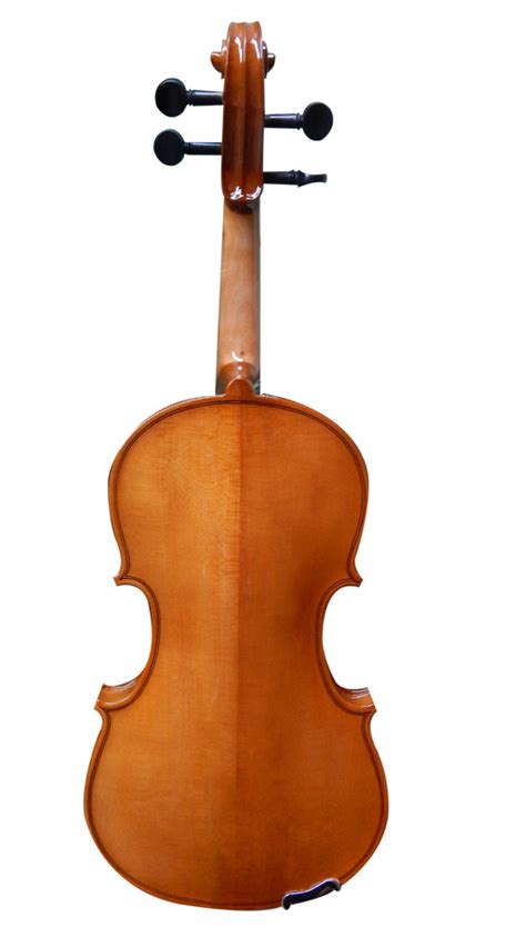Musical Violin at Rs 6500/piece(s) | Chittaranjan Avenue | Kolkata| ID ...