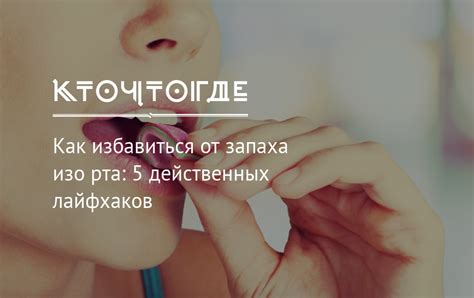 Как избавиться от запаха изо рта | КТО?ЧТО?ГДЕ?