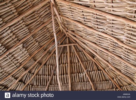 coba mayan ruins Stock Photo - Alamy