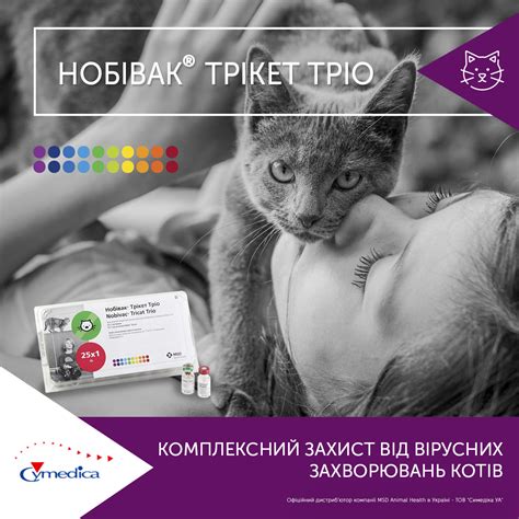 Комплексний захист від вірусних захворювань котів ⋆ Симедіка.УА