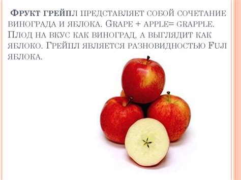 Гибриды растений - презентация онлайн