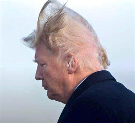 Trump hair Blank Template - Imgflip