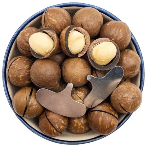 Макадамия орех (Macadamia) 1000 грамм в скорлупе с распилом, свежий ...