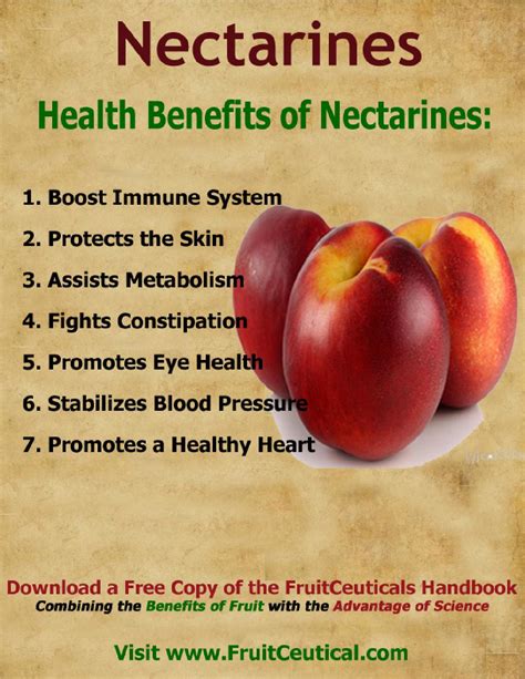 258956211 health benefits of nectarines (1) by fe binan - Issuu