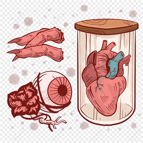 organ clipart images hd pictures   vectors  lovepikcom