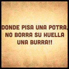 Exactly Real Quotes, Funny Quot3s, Mexican Jokes, Knowledge And Wisdom ...