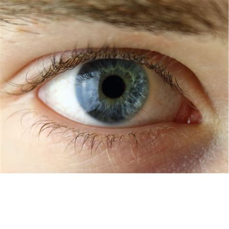 Ophthalmology Series Part 1 - Eye Fundamentals - Surgery 101