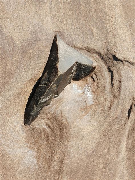 Camel Toe Beach Photos, Download The BEST Free Camel Toe Beach Stock