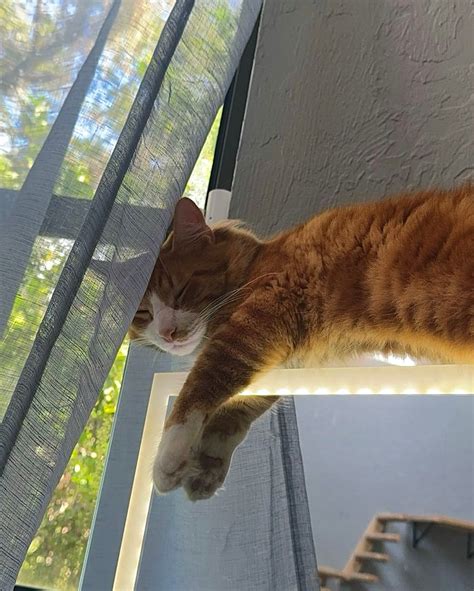 Beri Galaxy - Beri Galaxy added a new photo.