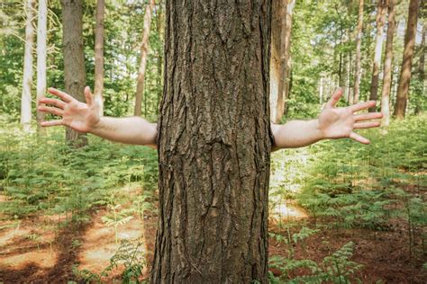 Nude Man Finally Arrested; Breaching Probation - Guelph Events and
