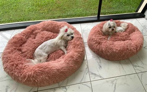 Pet Comfort Calming Bed - 4Paws Pet Accessories