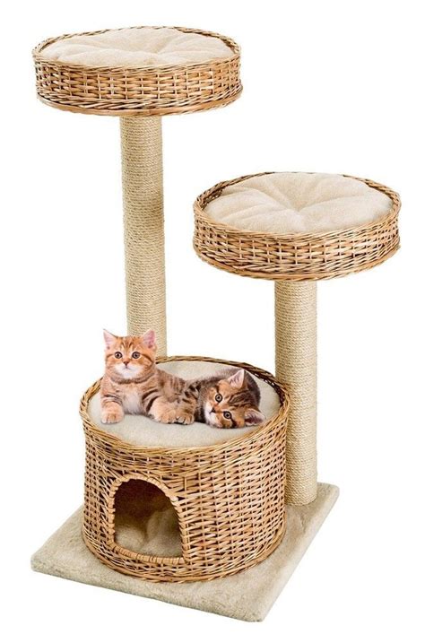 Игровой комплекс для кошек AMIR, 50х50х102 см - купить с доставкой по ...