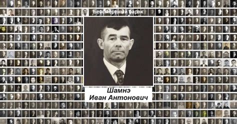 Шамнэ Иван Антонович
