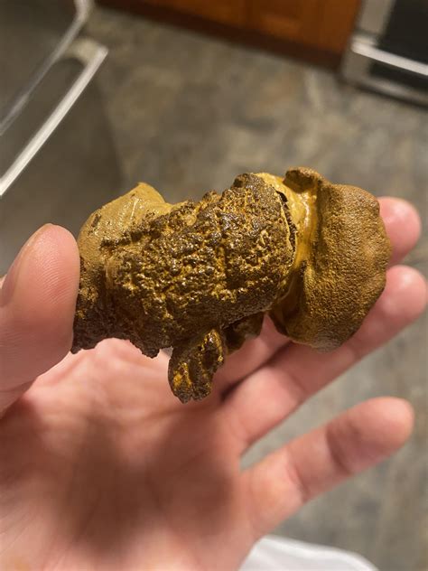 Bone fossil?? Looks like hip possibly, cracked in half accidentally 😭😭