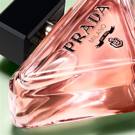 Prada Paradoxe ดอกไม้ขาวตัวแทนความงามสง่าเหนือกาลเวลา สู่กลิ่นหอมอัน ...