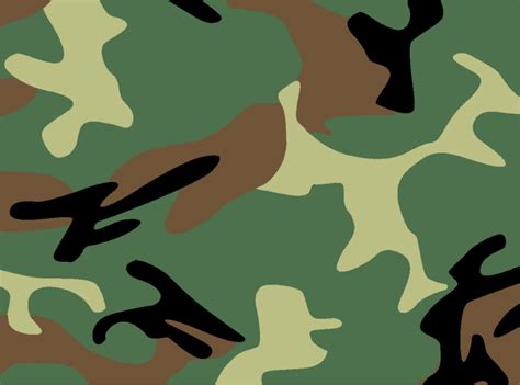 Camo meaning - Spinfold