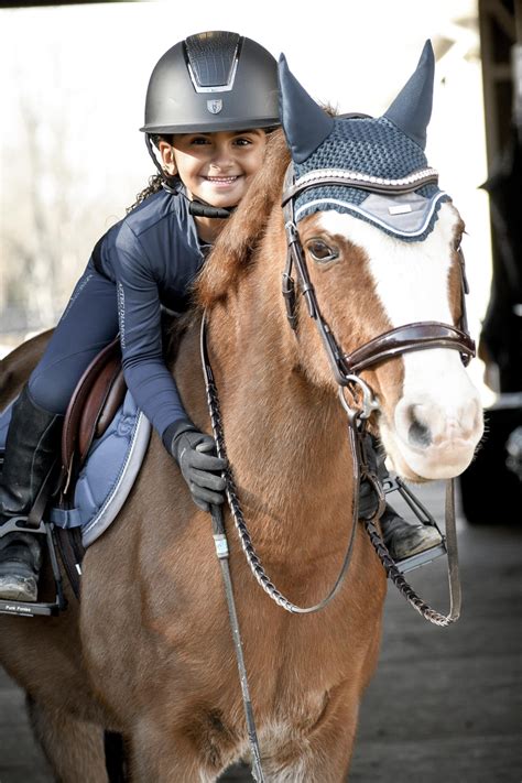 Is Buying a Horse Within Your Budget? - Horse Rookie