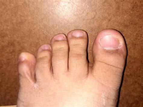 Lush Fern Toe Spread Foot JOI : r/feetcasual