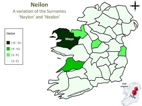 Neilon | Irish Origenes: Use your DNA to rediscover your Irish origin