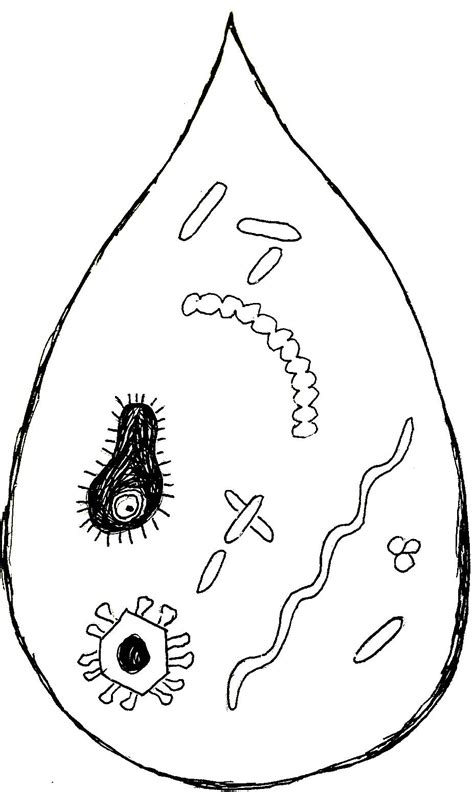 writings  rehearsals  nathan schneider