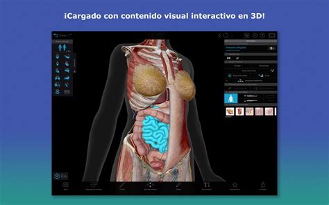 Atlas De Anatomía Humana En 3d Human Anatomy Atlas 7.4 Atlas Del