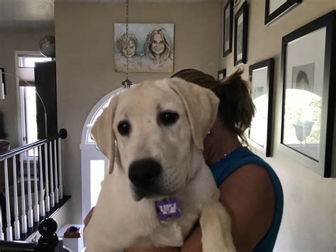 Olivia Wade Memorial Scholarship