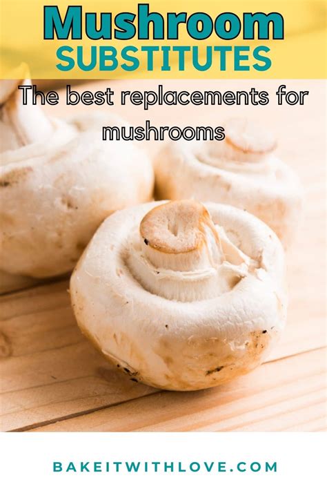 This Guide Lists Every Possible Mushroom Powder Substitute For You - RYZE Superfoods