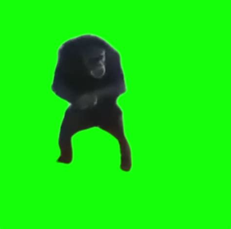 monkey clapping green screen creatorset