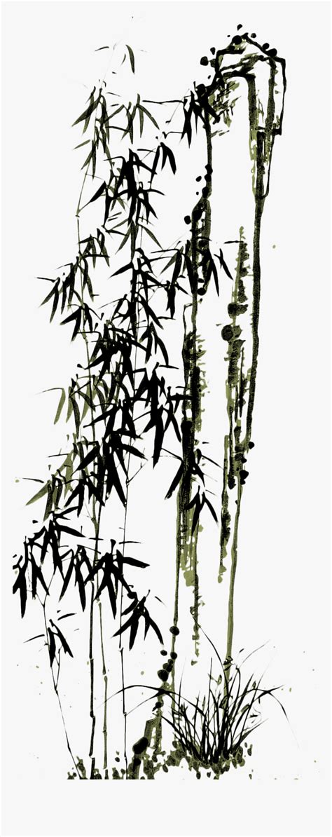 Drawn Bamboo Kawayan - Chinese Painting Bamboo Png, Transparent Png ...