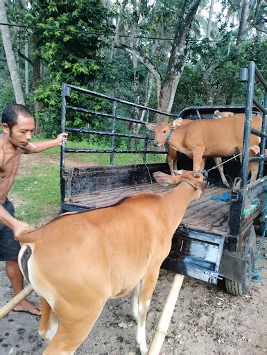 strategies  increase household income  poor farmers  dry land