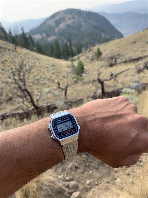 [Casio A168W] Took my daily on a beautiful hike. : r/Watches