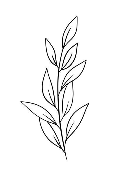 leaf  art  png