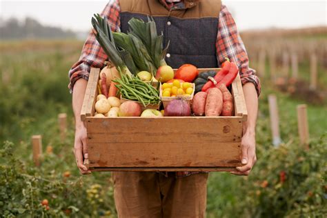 A Guide to Choosing the Best Farm Names - ToughNickel
