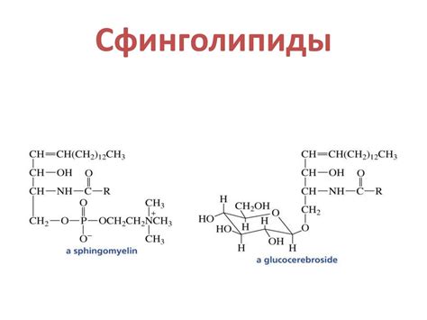 Кафедра общей и биоорганической химии - online presentation