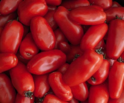 Tomato varieties: 8 of the best types of tomatoes to grow | Homes & Gardens